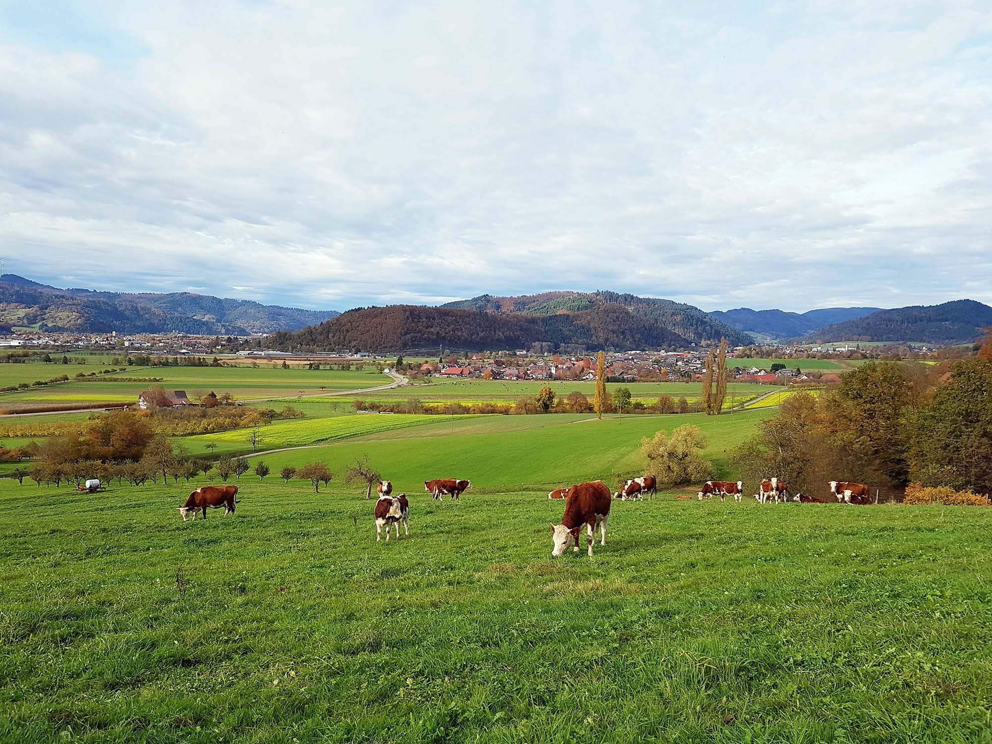 2022-12-30-ZE-UE-bia-Schönes Entersbach-SP landwirtschaftl. Idylle