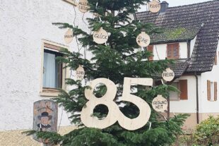 2022-12-7-BI-Roswitha Vollmer-Geburtstags-Weihnachtsbaum-85-20221202_150951