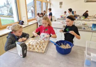 Weihnachtseinkauf in Zell a. H.