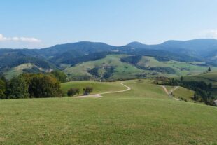 2020-9-20-OH-vo- AugenBlick-DSCF0975