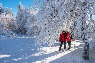 2023-1-27-OH-Robert Schwendemann-Winterbilder-226A0064-HDR-Bearbeitet