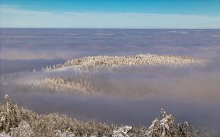 Winterwunderland im »hohen Norden« über dem Nebelmeer