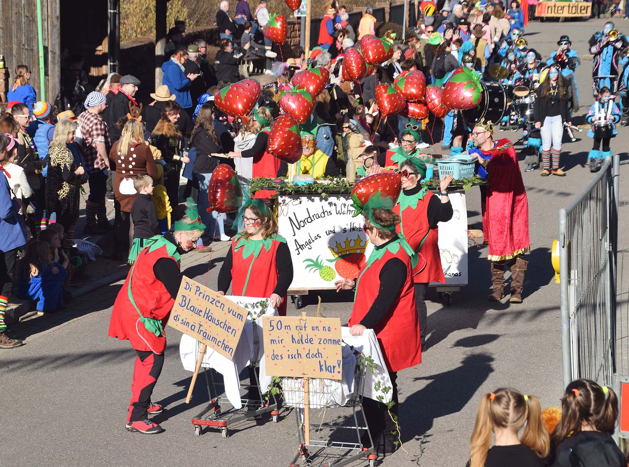 2023-2-22-NO-hv-Fasentumzug Nordrach-DSC_0486