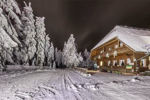 2023-2-3-OH-Robert Schwendemann-Lichtershow auf dem Brandenkopf-226A0006-Bearbeitet