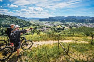 2023-3-29-GB-Tourismus GmbH-Genusstour-Gengenbach MTB e-bike Reben Foto A. Riehle