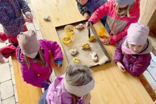 2023-3-31-BI-Verein-Narrenzunft-WhatsApp Bild 2023-03-28 um 11.58.22