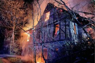 2023-4-12-BI-FFW-Brand-image002