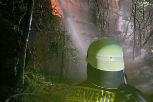 2023-4-12-BI-FFW-Brand-image006