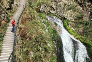 2023-4-14-Oppenau-Charly Ebel (Nationalpark Schwarzwald)-Allerheiligen-Wasserfall_©_CharlyEbel