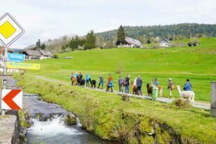 2023-4-26-NO-OE-Cornelia Lang-Jahrgangstreffen 1962-IMG-20230423-WA0027