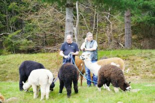 2023-4-26-NO-OE-Cornelia Lang-Jahrgangstreffen 1962-IMG-20230423-WA0035