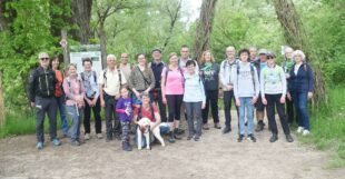 Dschungel-Atmosphäre am Rhein