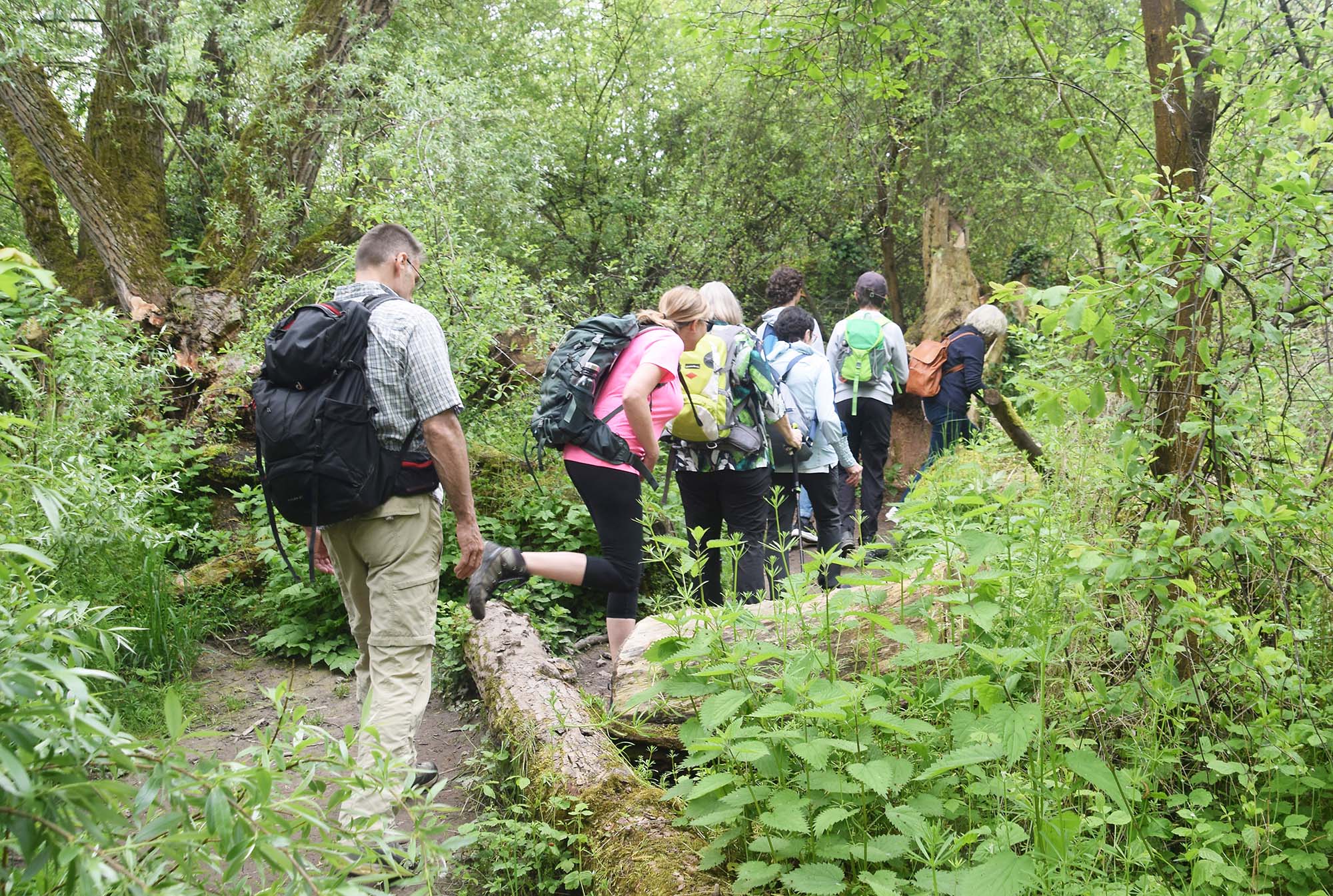 2023-5-15-NO-hv-Partnerschaftswanderung-DSC_0916