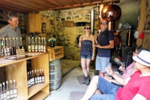 2023-5-19-NO-Gemeinde-Brennhisli-Brennhisli Schwarzhof mit Gästen_ Sabrina Herrmann