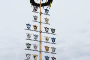 2023-5-2-BI-ds-Maibaum_DSC_0391