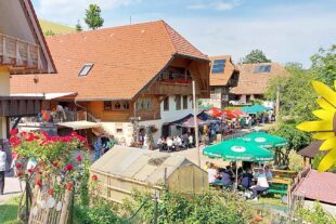 2023-6-14-NO-mnb- Nachbericht Brennhislitag Eine wahre Genußmeile boten der Haashof und Fam. Scholl