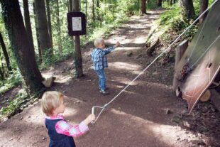 2023-6-16-OH-Gemeinde- Hademar Kollektiv Das Leben der Spinne - Herzenssache Natur - 2011