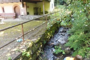 2023-6-26-NO-bia- Schottenhöfen-und-Bach