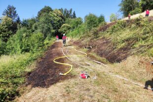 2023-6-28-NO-Rolf Braun-Feuerwehr-IMG-20230626-WA0002