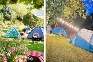 2023-6-28-OH-Schwimmbad OH-Familiäres Zeltlager-zelt1_collage