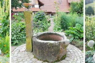 2023-7-12-BI-PB-privat-Brunnenhof-Rita Vitt-Gemüsegarten3August_collage