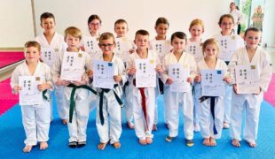 Erfolgreiche Sommer prüfung bei Taekwondo Ates in Zell/Biberach