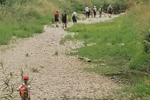 2023-7-26-NO-Dagmar Vollmer-SWV-Donauversickerung-IDonauversickerung