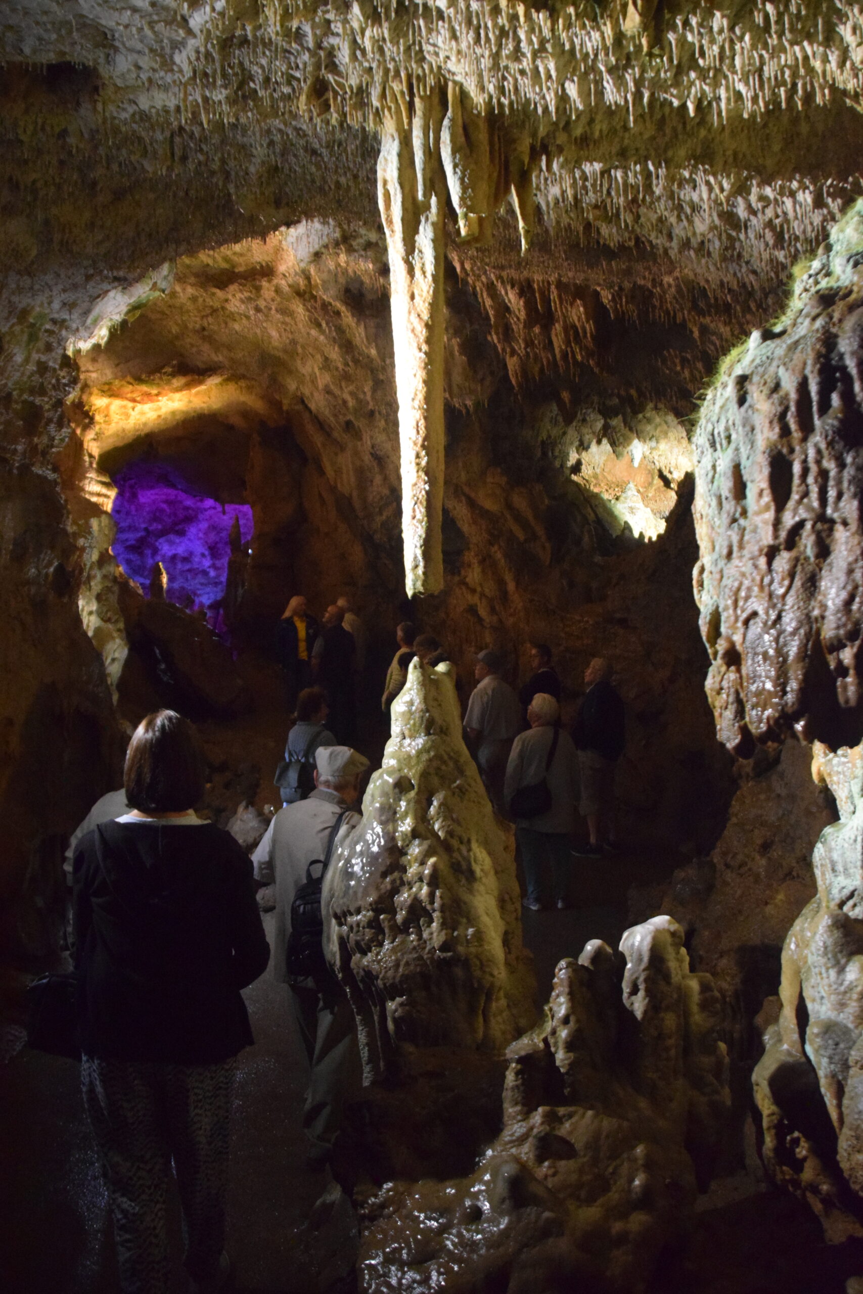 2023-7-26-NO-hv-Altenwerk-Bärenhöhle-DSC_0158