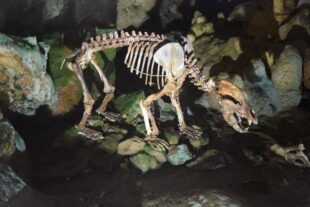 2023-7-26-NO-hv-Altenwerk-Bärenpark-DSC_0170