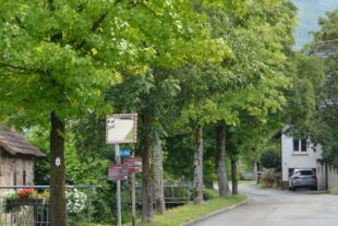 2023-7-26-ZE-hps-Gemeinderat Dorfstraße Unterentersbach-DSC_5102 2