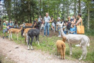 Ronja und ihr fünf Wochen altes Fohlen waren die Stars des Tages