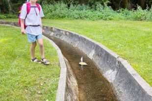 Abschluss 22023-7-31-ZE-UE-Lisa Zajac- Schulanfänger Wirbelwind
