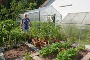 Tomaten und mediterrane Pflanzen