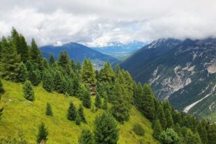 2023-8-16-NO-DAV-Wanderung Stubaital-20230726_131916