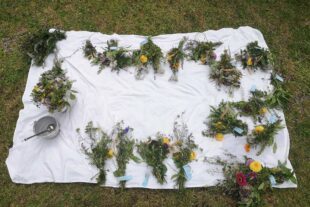 2023-8-16-OH-Kathinr Lehmann-DJK-Kräuterbüschel-IMG_20230814_154758