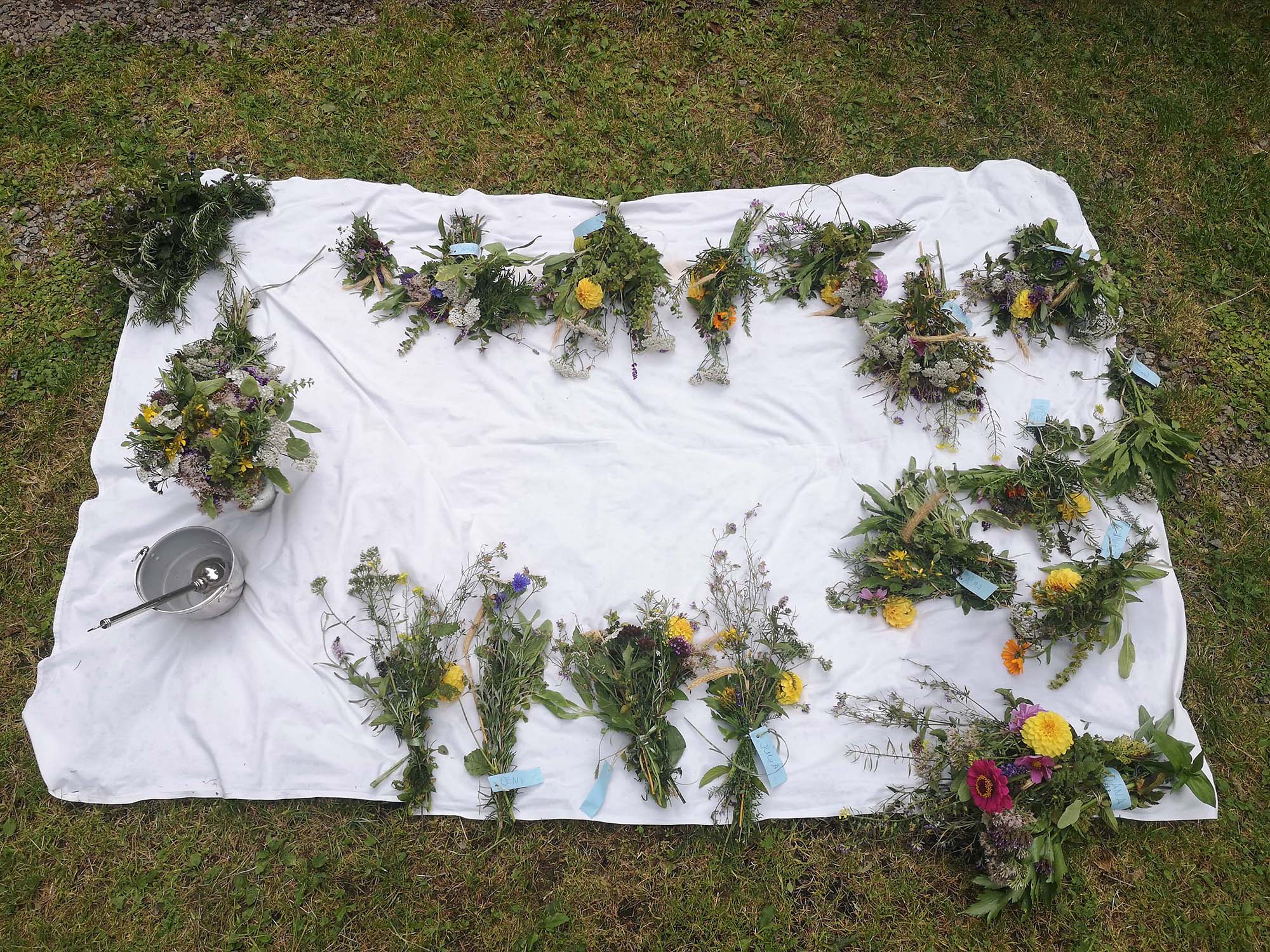 2023-8-16-OH-Kathinr Lehmann-DJK-Kräuterbüschel-IMG_20230814_154758