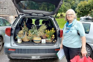 2023-8-21-NO-Ingeborg Bruder- Kräuterbüschelwanderung IMG-20230815-WA0005