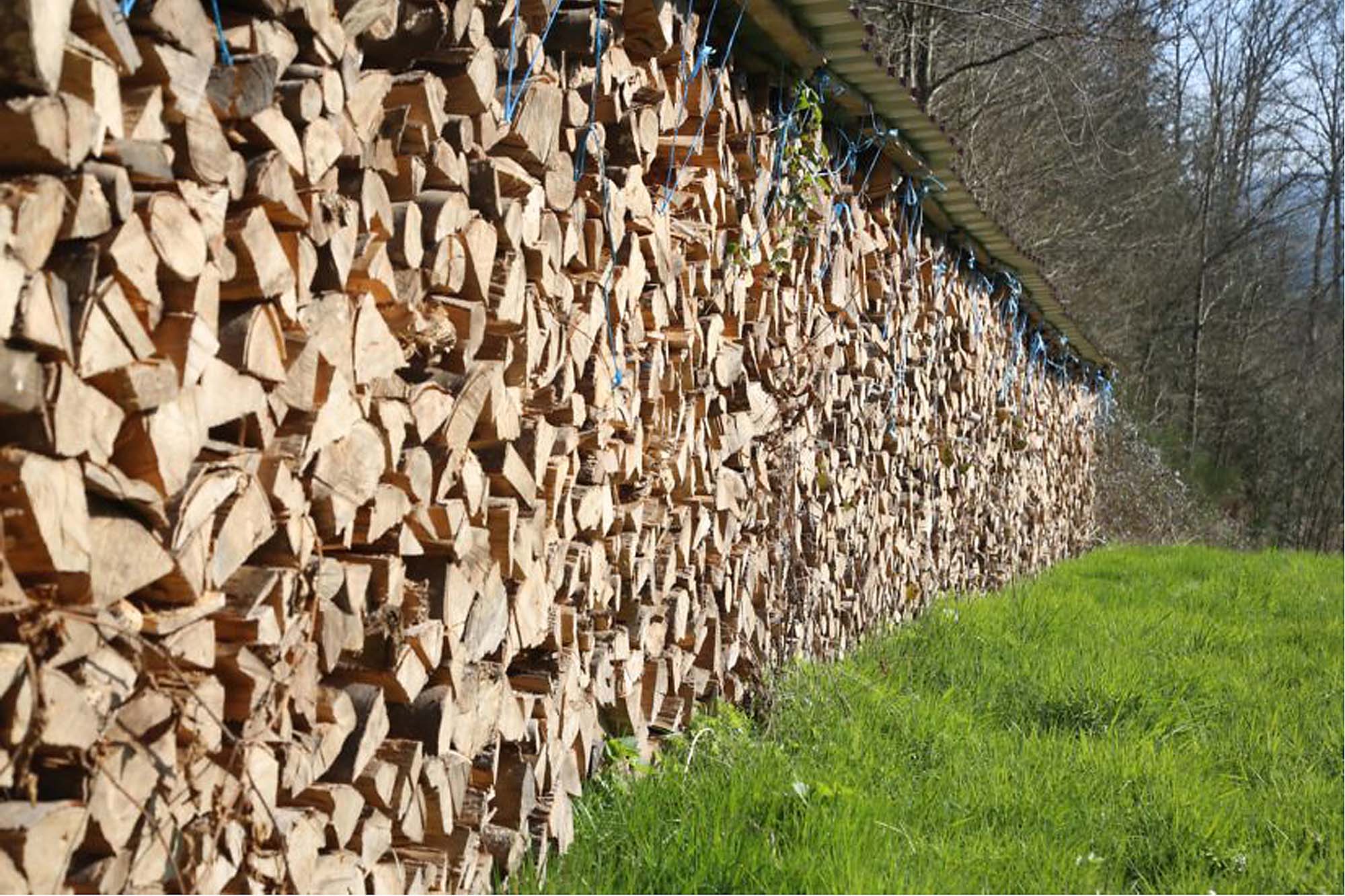 2023-8-21-OH-kal-Bürgernutzen 13x19,5 Holz Bürgernutzen