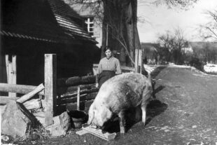 2023-8-23-BI-dp-Gißler Emma Unfalltod 1947-2. Emma Gißler Hof der Bau-Mühle