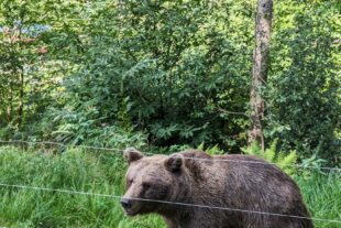 2023-8-25-NO-Nico Groß-Alpenverein-Ferienprogramm2023-3
