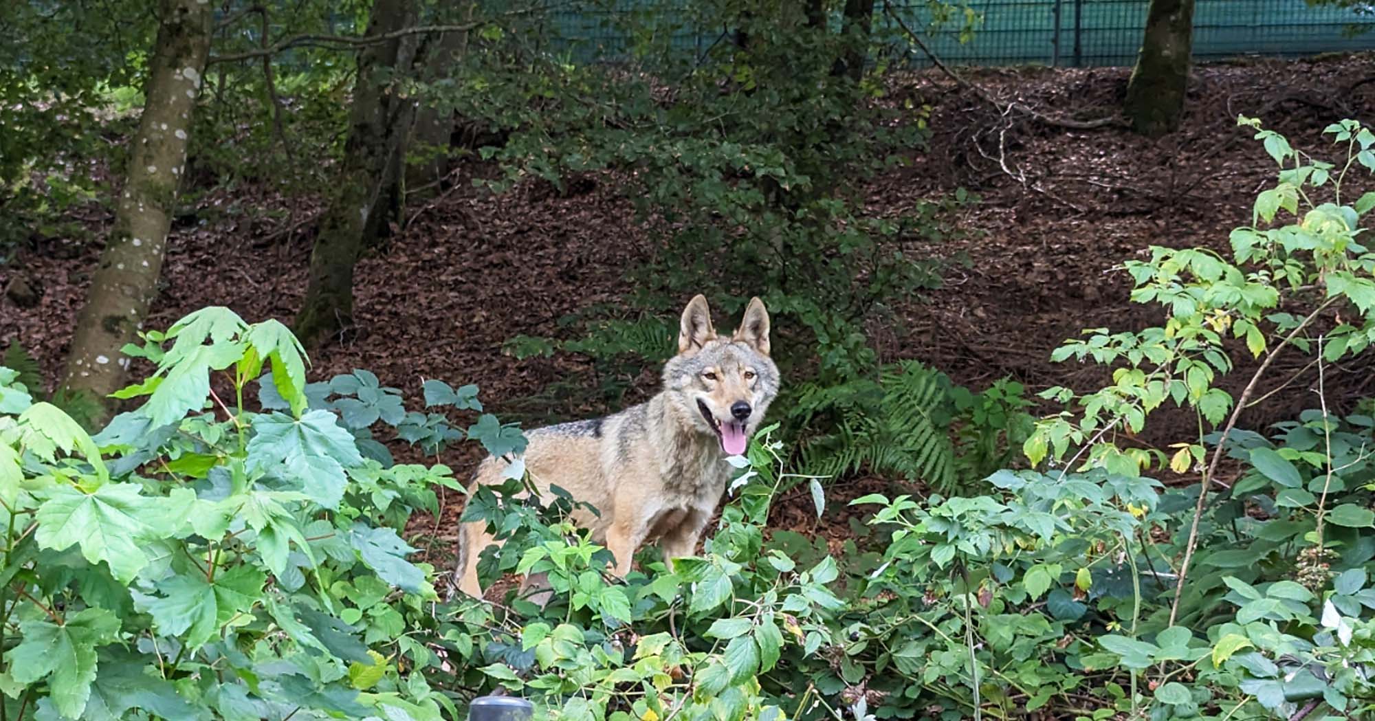 2023-8-25-NO-Nico Groß-Alpenverein-Ferienprogramm2023-4