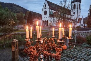 2023-8-30-NO-Moospfaff-Abendspaziergang