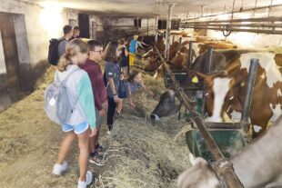 2023-9-11-OH-Anne-Kathrin Heizmann- Nachtwanderung Kindersommer Bücherei-Nachtwanderung_Kindersommer-Oberharmersbach_3