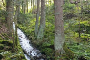 2023-9-13-NO-DAV-Seniorenwanderung- Göttler Weg-09_2023_Franz_Göttler_Weg_05