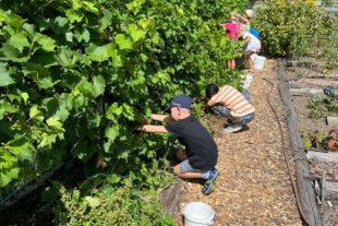 2023-9-15-BI-privat-Ferienprogramm-Traubensaftpressen-Bild Saft 1