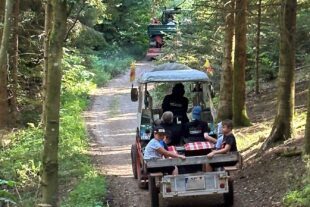 2023-9-18-BI-gg- Ferienprogramm Waldabenteuer Unimog im Wald unterwegs