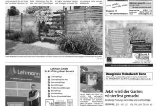 Lokal_x-x-11_Beil-X1.qxp