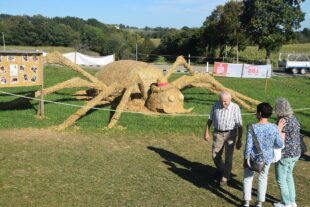 2023-9-25-NO-hv-Altenwerk-DSC_0435