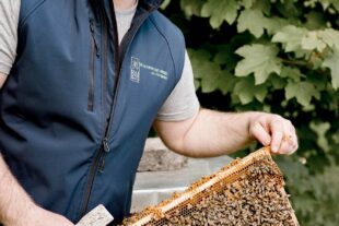 2023-9-29-ZE-UE-privat-Bienenmartin-BieneMartin-146