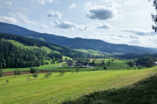 2023-10-11-NO-Luitgard Bieser-DAV-Seniorenwanderung in UH-10_2023_05_Bach- und Panoramaweg UH
